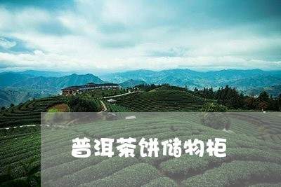 普洱茶饼储物柜/2023083135169