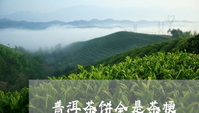 普洱茶饼全是茶梗/2023110929381