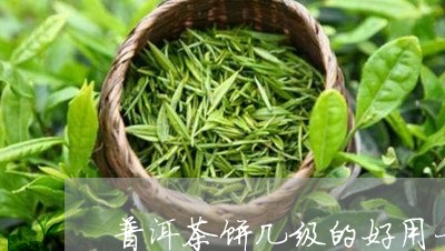 普洱茶饼几级的好用一些/2023082483916