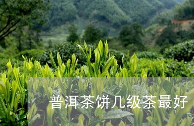 普洱茶饼几级茶最好/2023070982702