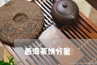 普洱茶饼分量/2023042771905