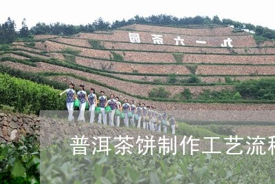 普洱茶饼制作工艺流程/2023061662705