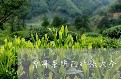 普洱茶饼包折法大全/2023121734048