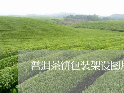 普洱茶饼包装架设图片大全集/2023121760693