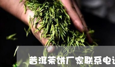 普洱茶饼厂家联系电话/2023062186370