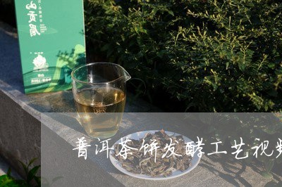 普洱茶饼发酵工艺视频/2023062366462