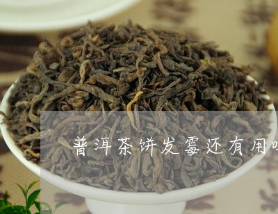 普洱茶饼发霉还有用吗还能喝吗/2023121744148