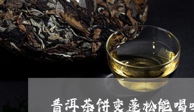 普洱茶饼变蓬松能喝吗/2023062081605