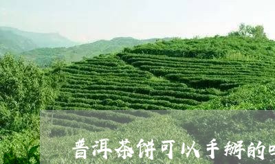 普洱茶饼可以手掰的吗/2023120764624