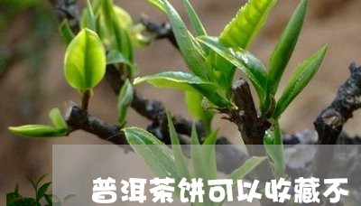 普洱茶饼可以收藏不/2023120523716