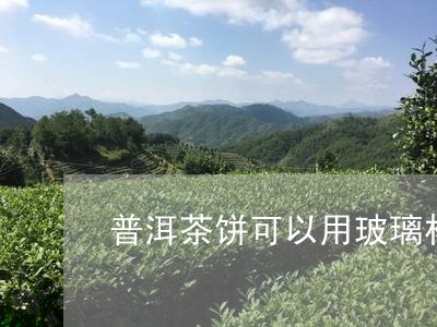 普洱茶饼可以用玻璃杯泡吗/2023110224725