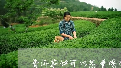 普洱茶饼可以蒸着喝吗/2023092683936