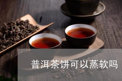 普洱茶饼可以蒸软吗/2023110778272