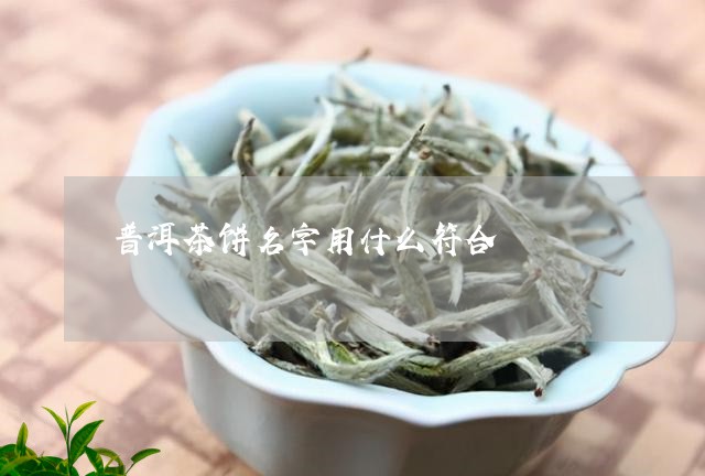 普洱茶饼名字用什么符合/2023082435935