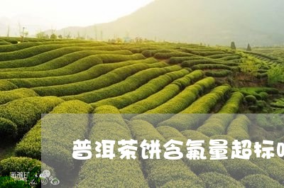 普洱茶饼含氟量超标吗/2023072230683