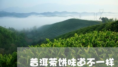 普洱茶饼味道不一样/2023081682837