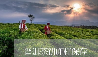 普洱茶饼咋样保存/2023100600482