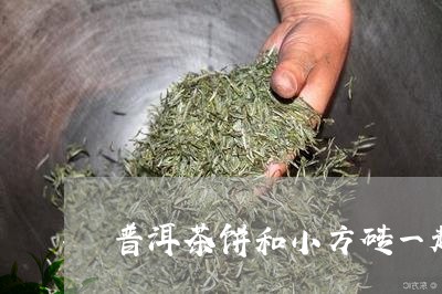 普洱茶饼和小方砖一起泡/2023110113916