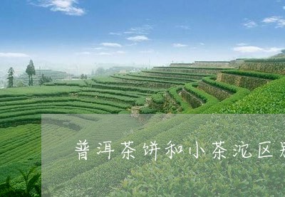 普洱茶饼和小茶沱区别/2023073110592