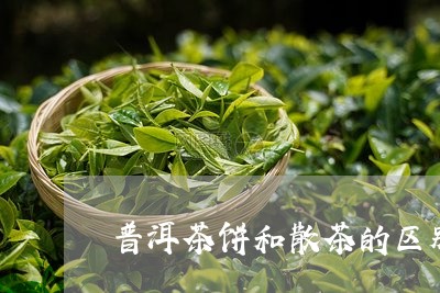 普洱茶饼和散茶的区别在哪里/2023082648625