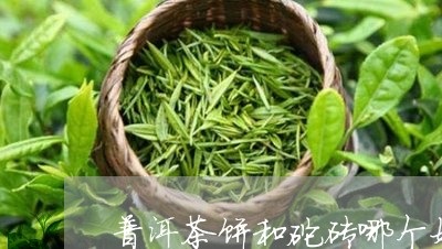 普洱茶饼和砣砖哪个好/2023092709260