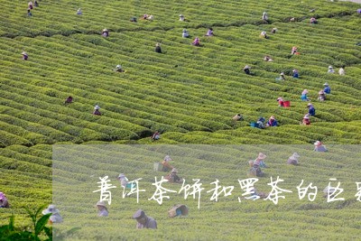 普洱茶饼和黑茶的区别/2023073166938