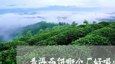 普洱茶饼哪个厂好喝点呢/2023110121604