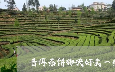 普洱茶饼哪块好卖一些呢/2023082711046