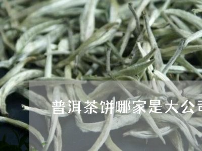 普洱茶饼哪家是大公司/2023093069735