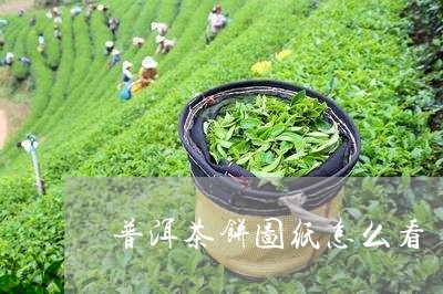 普洱茶饼图纸怎么看/2023071089694