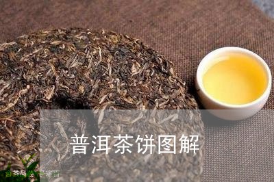 普洱茶饼图解/2023091300416