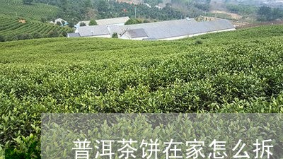 普洱茶饼在家怎么拆/2023112703605