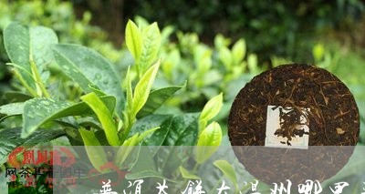 普洱茶饼在温州哪里买/2023063022794