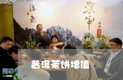 普洱茶饼增值/2023042775199