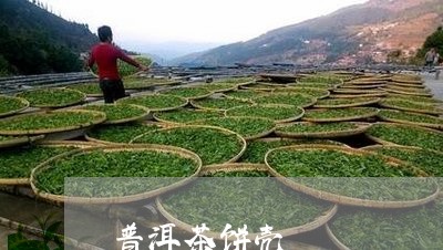 普洱茶饼壳/2023081886150