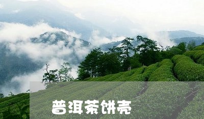 普洱茶饼壳/2023102543815