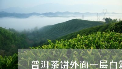 普洱茶饼外面一层白霜/2023092612037