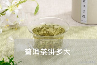 普洱茶饼多大/2023042806784