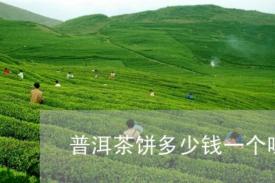 普洱茶饼多少钱一个呀/2023061365047