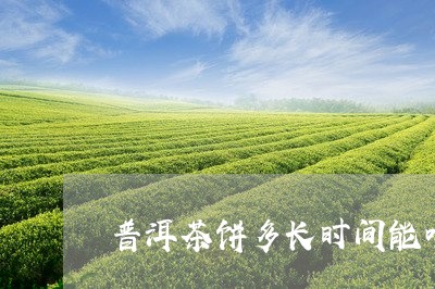 普洱茶饼多长时间能喝/2023092616257