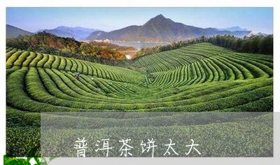 普洱茶饼太大/2023091272617