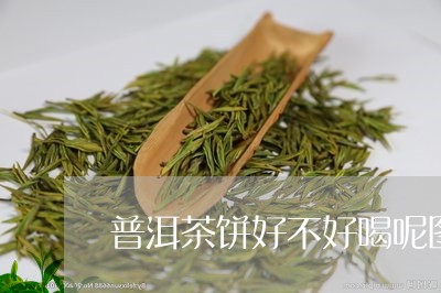 普洱茶饼好不好喝呢图片/2023082491495