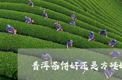 普洱茶饼好还是方砖好/2023072474715