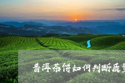 普洱茶饼如何判断质量/2023100733835