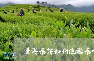 普洱茶饼如何泡绿茶喝好/2023121703027