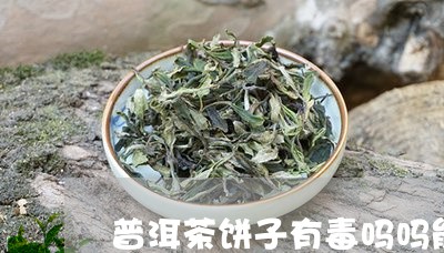 普洱茶饼子有毒吗吗能吃吗/2023110732613