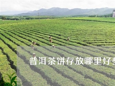 普洱茶饼存放哪里好些呢/2023121726250