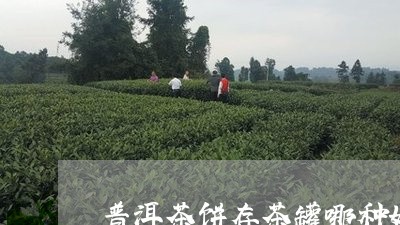 普洱茶饼存茶罐哪种好/2023062138585