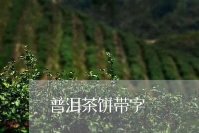 普洱茶饼带字/2023042563989