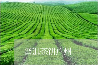 普洱茶饼广州/2023042757218